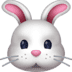 :rabbit: