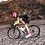 AndyTheBike